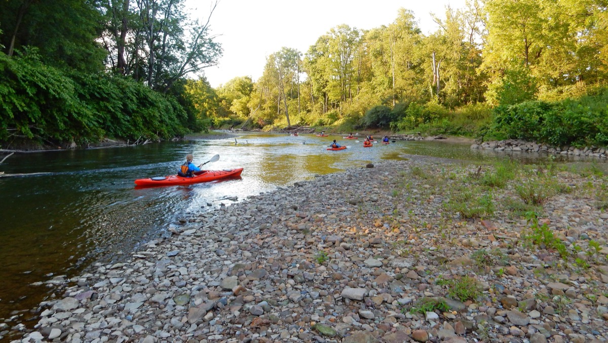 People in bright orange kayaks paddle around a bend in a river, past green trees and a rocky shore.