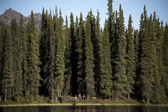 people sitting on a forested lakeshore