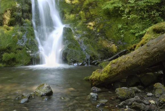 A waterfall rushes over mossy rocks to a pond below.