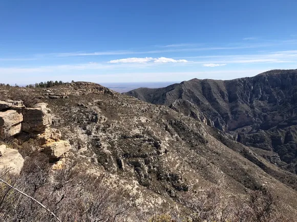 A mountainous ridge with trees and rocks looms in the distance