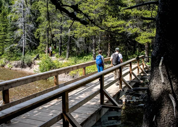 Swiftcurrent Lake Trail Bridge in Glacier National Park