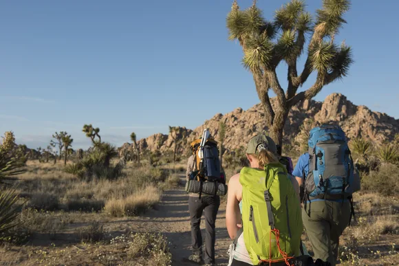 Hikers on a dirt trail going between Joshua trees and shrubs heading towards a rock formation.